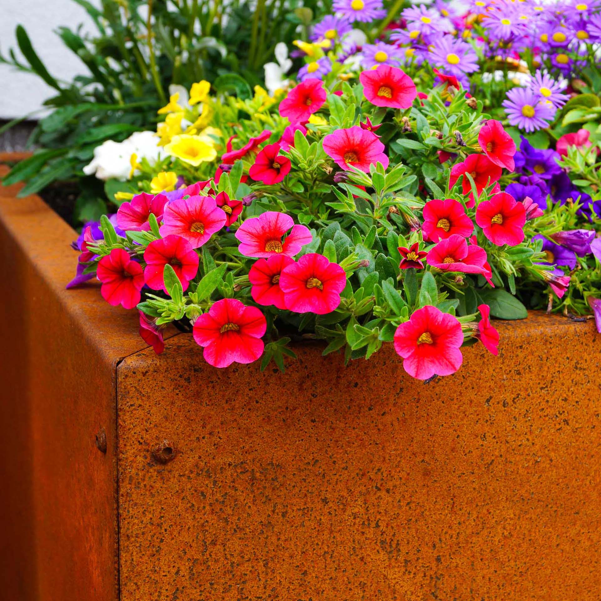 Prima Terra Hochbeet UNIQUE Prima Terra Hochbeet UNIQUE