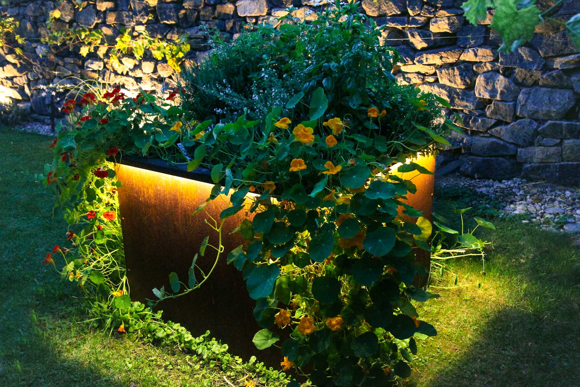 Beleuchteter Pflanzkübel aus Metall mit grünen Pflanzen und Blumen in einem Garten bei Nacht Beleuchteter moderner Pflanzkübel aus Metall mit vielfältigen grünen Pflanzen und gelben, roten Blüten vor einer Steinmauer im Garten