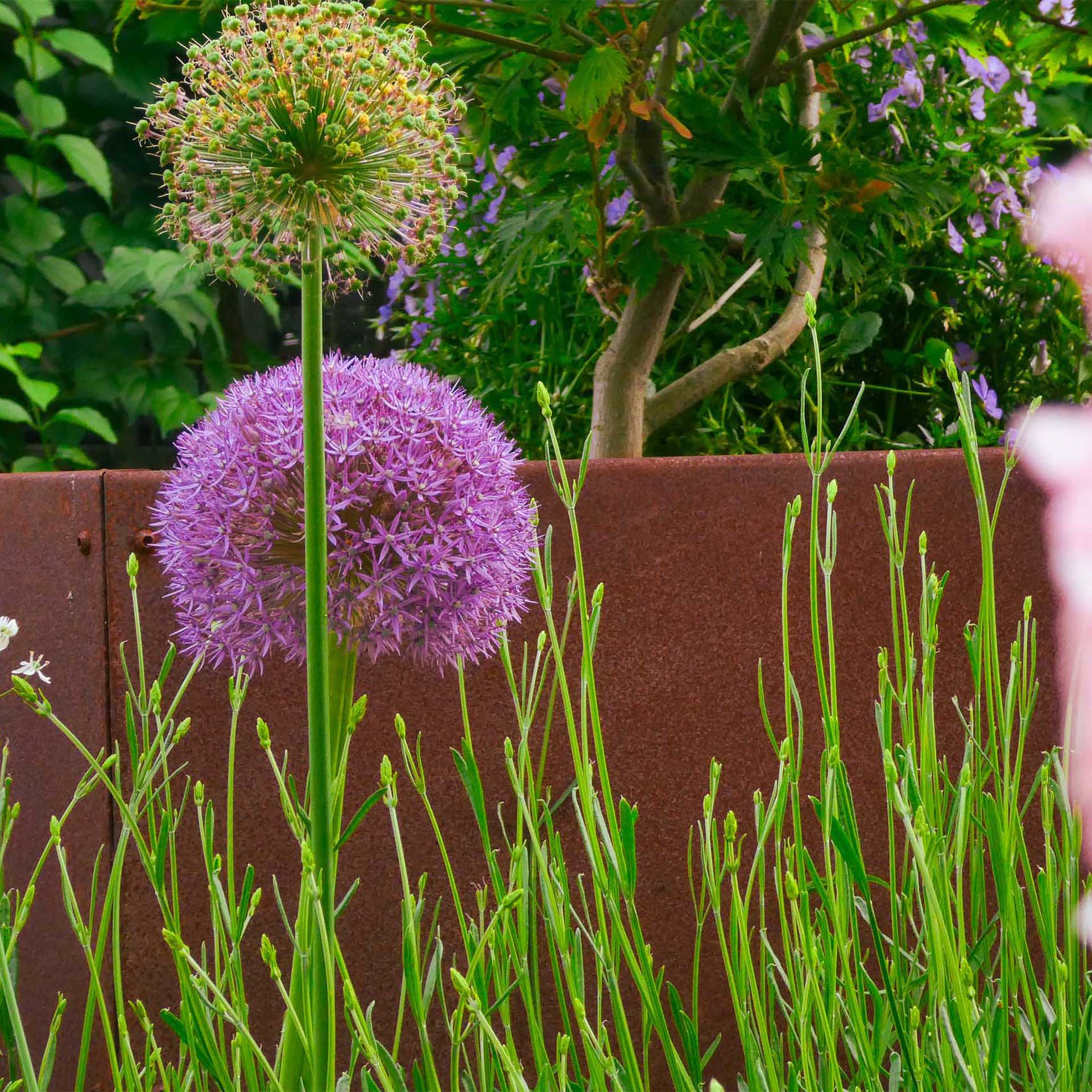 Prima Terra Hochbeet UNIQUE Prima Terra Hochbeet UNIQUE