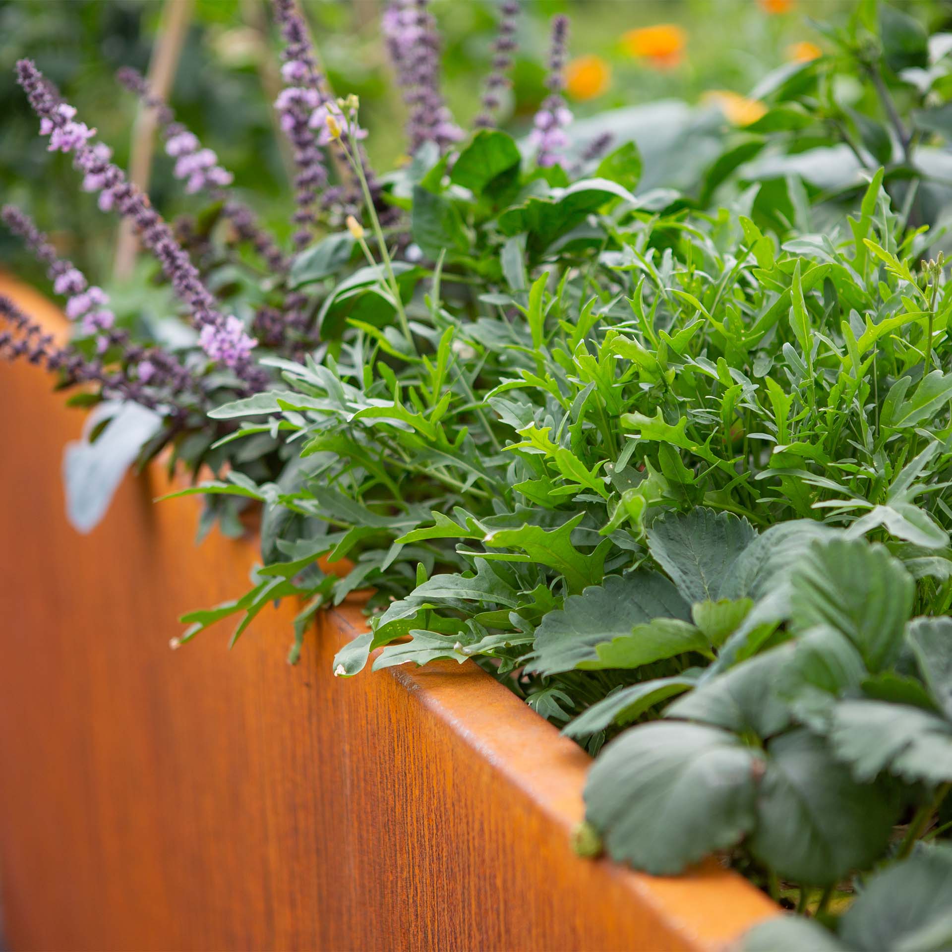 Prima Terra Edelrost Hochbeet Optimus Prima Terra Edelrost Hochbeet Optimus