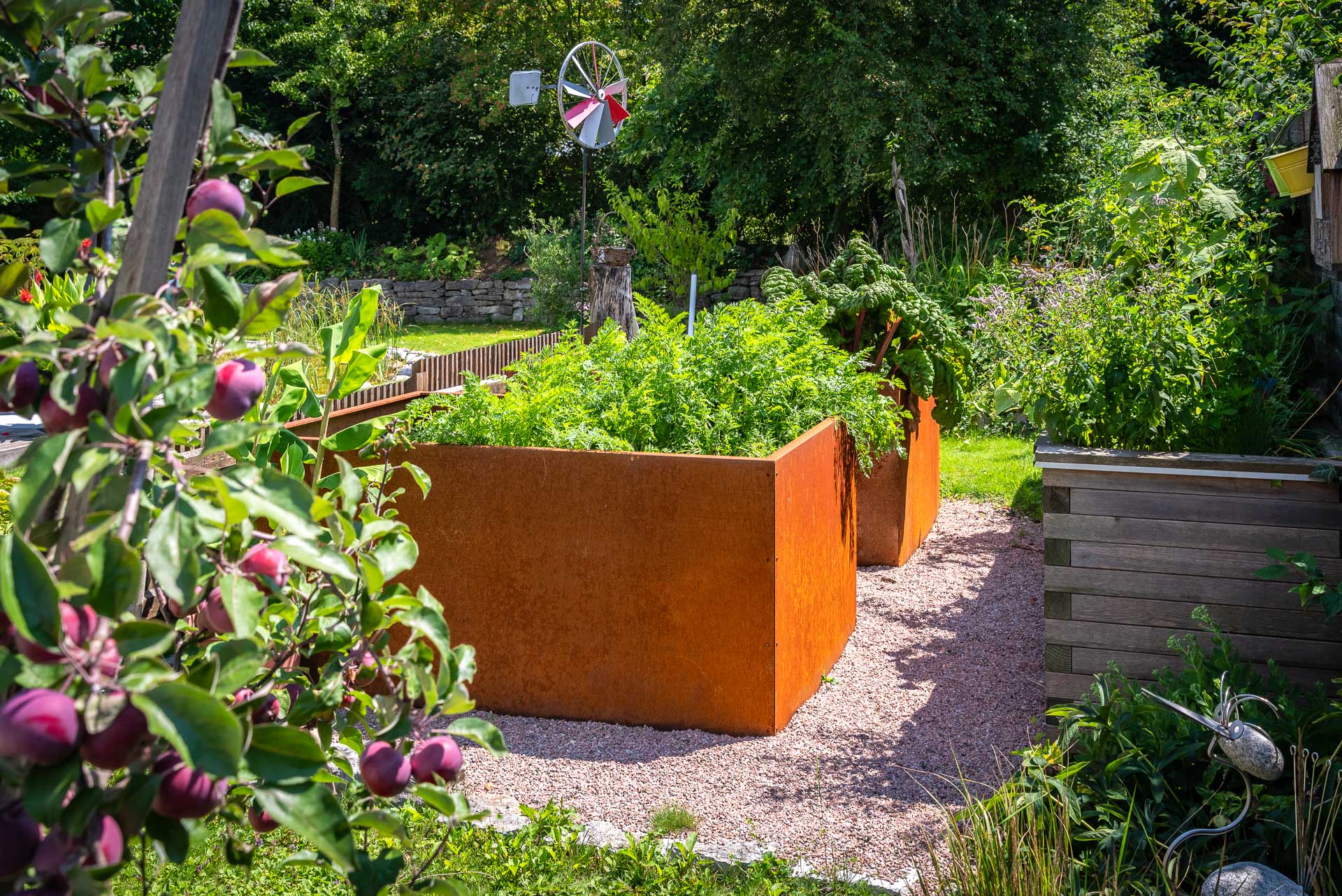 Hochbeete aus Cortenstahl mit frischem Gemüse in sonnigem Garten Garten mit Hochbeeten aus rostigem Cortenstahl, bepflanzt mit frischem Gemüse, umgeben von Obstbäumen und grünen Pflanzen