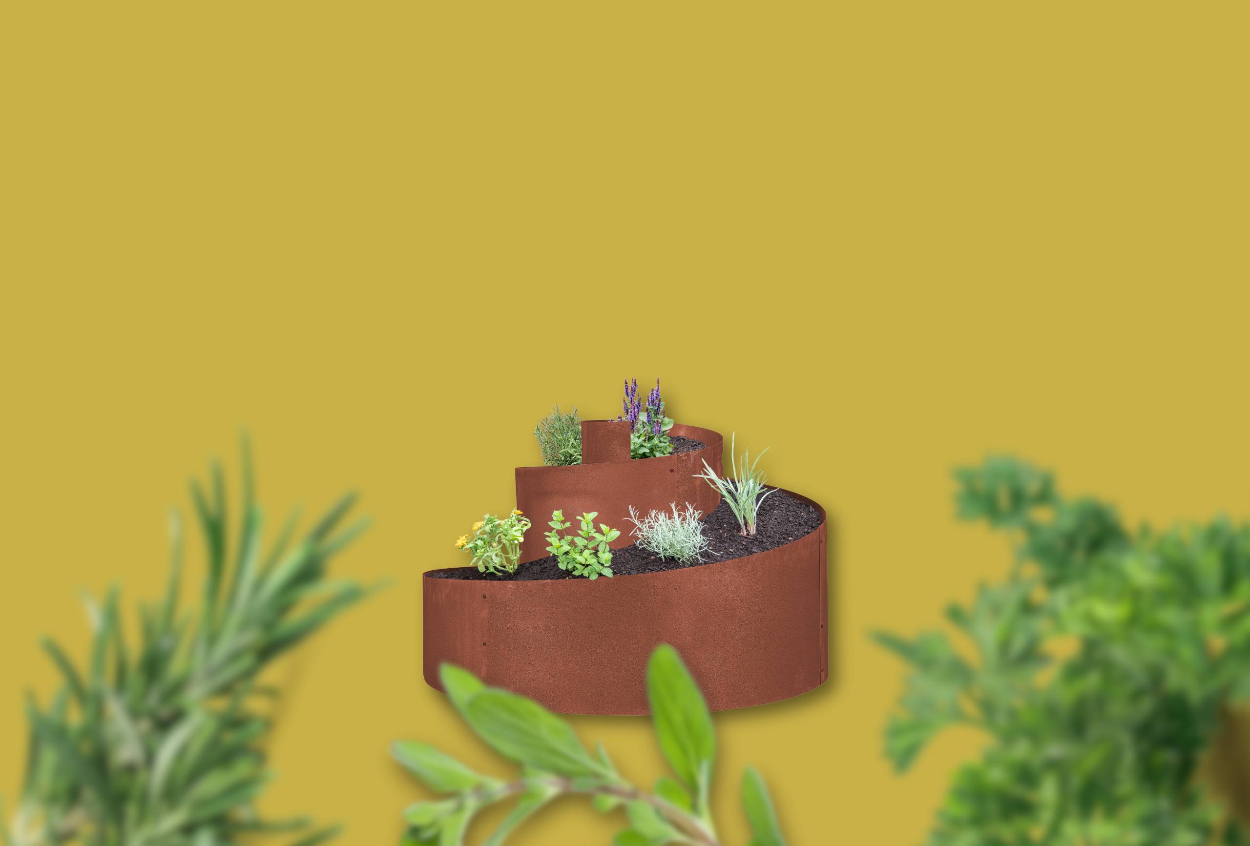meinegartenfreude-home-slider-kraeuterschnecke meinegartenfreude-home-slider-kraeuterschnecke