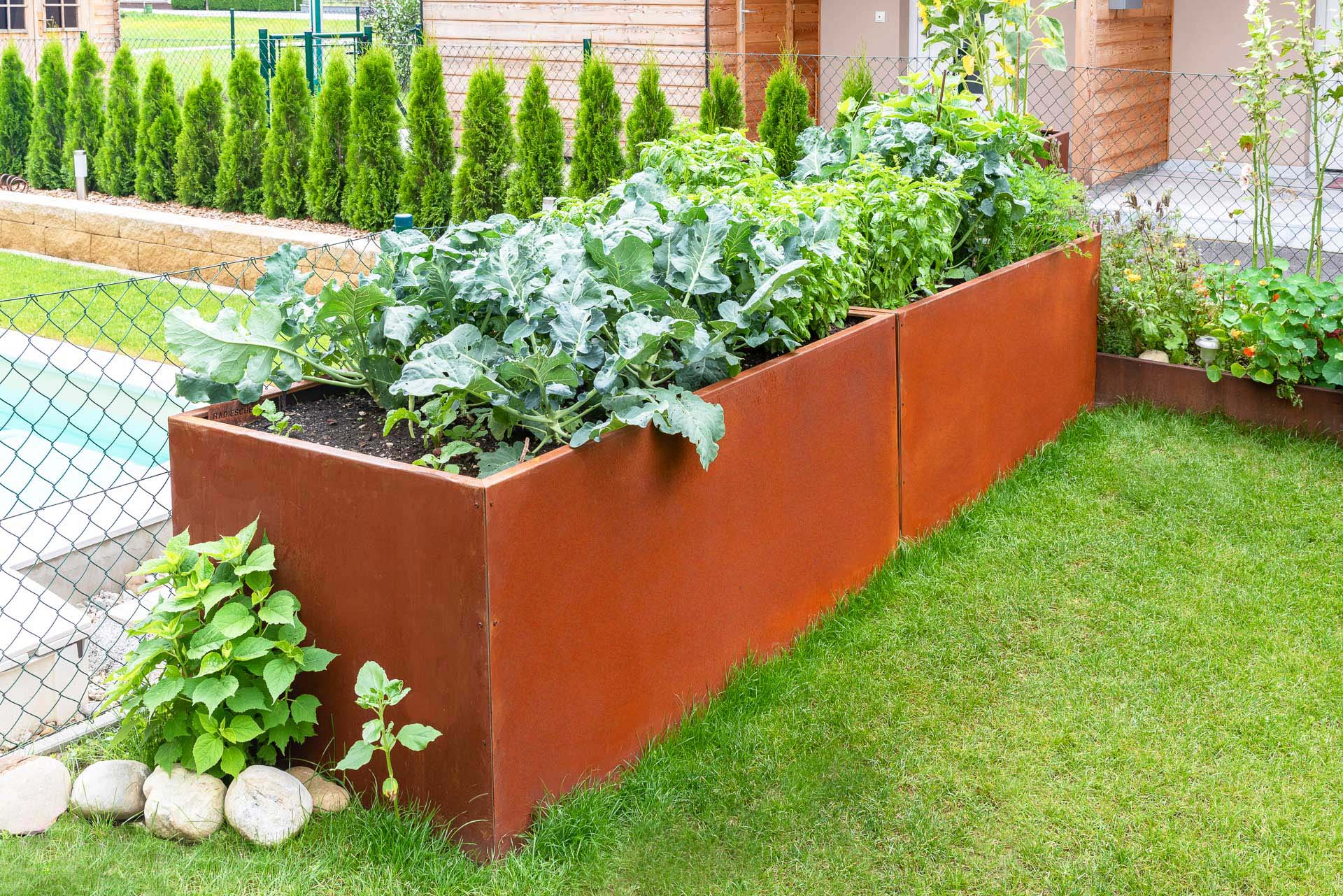 Rechteckiges Hochbeet aus rostigem Cortenstahl mit Gemüse wie Kohl und Kräutern, umgeben von grünem Rasen und Gartenpflanzen