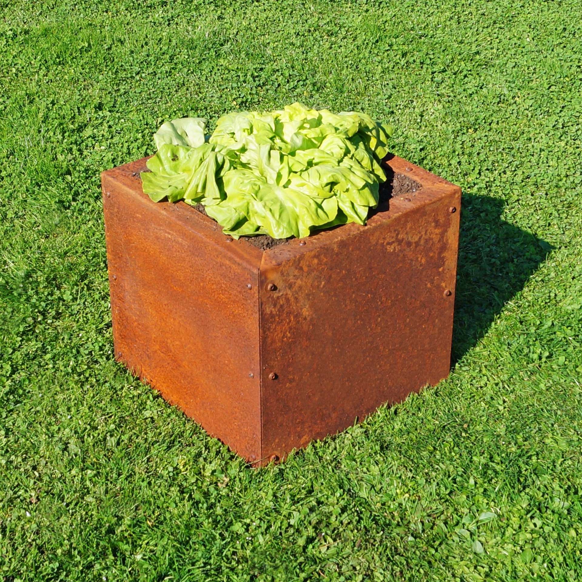 Prima Terra Edelrost Hochbeet Planus Prima Terra Edelrost Hochbeet Planus