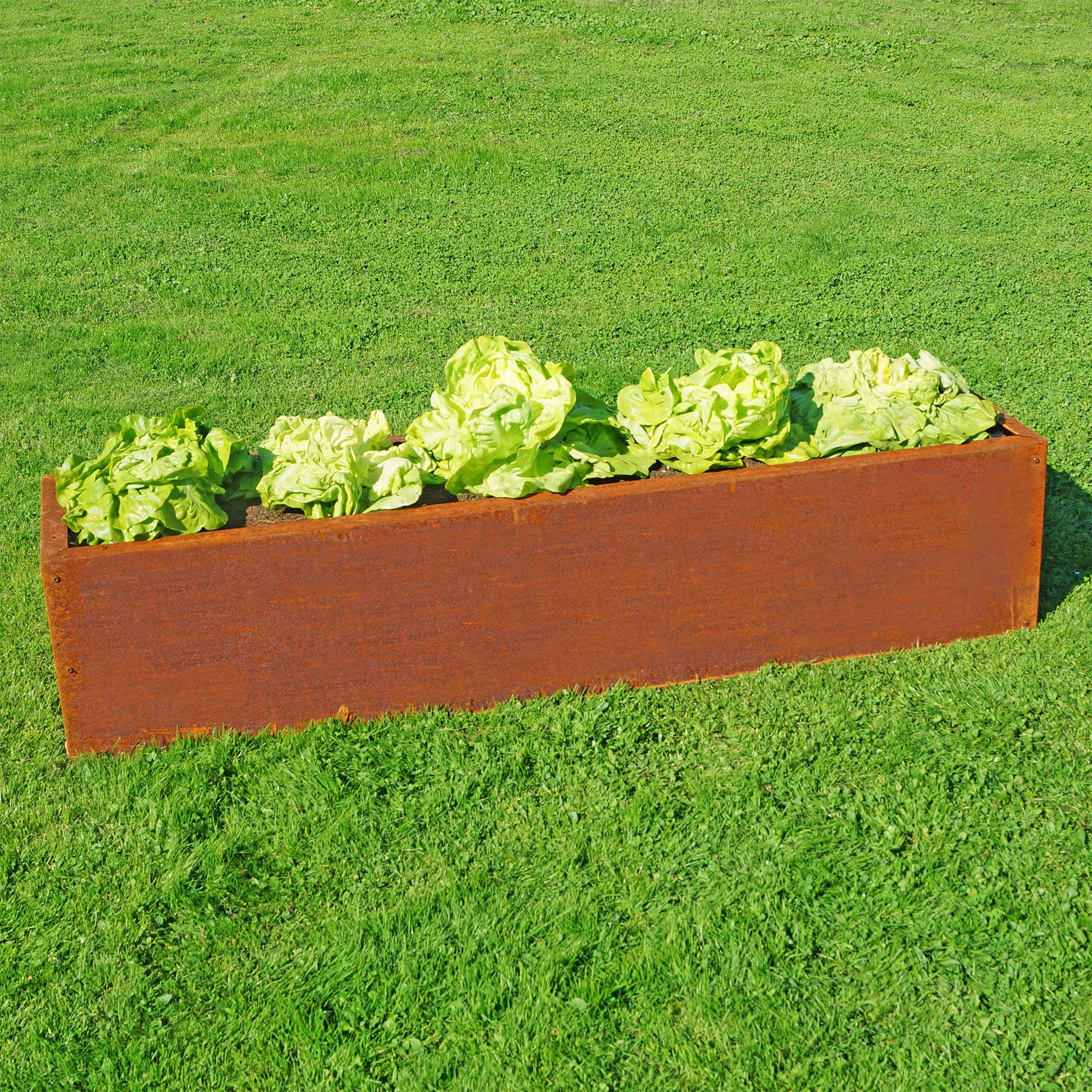 Prima Terra Edelrost Hochbeet Planus Prima Terra Edelrost Hochbeet Planus