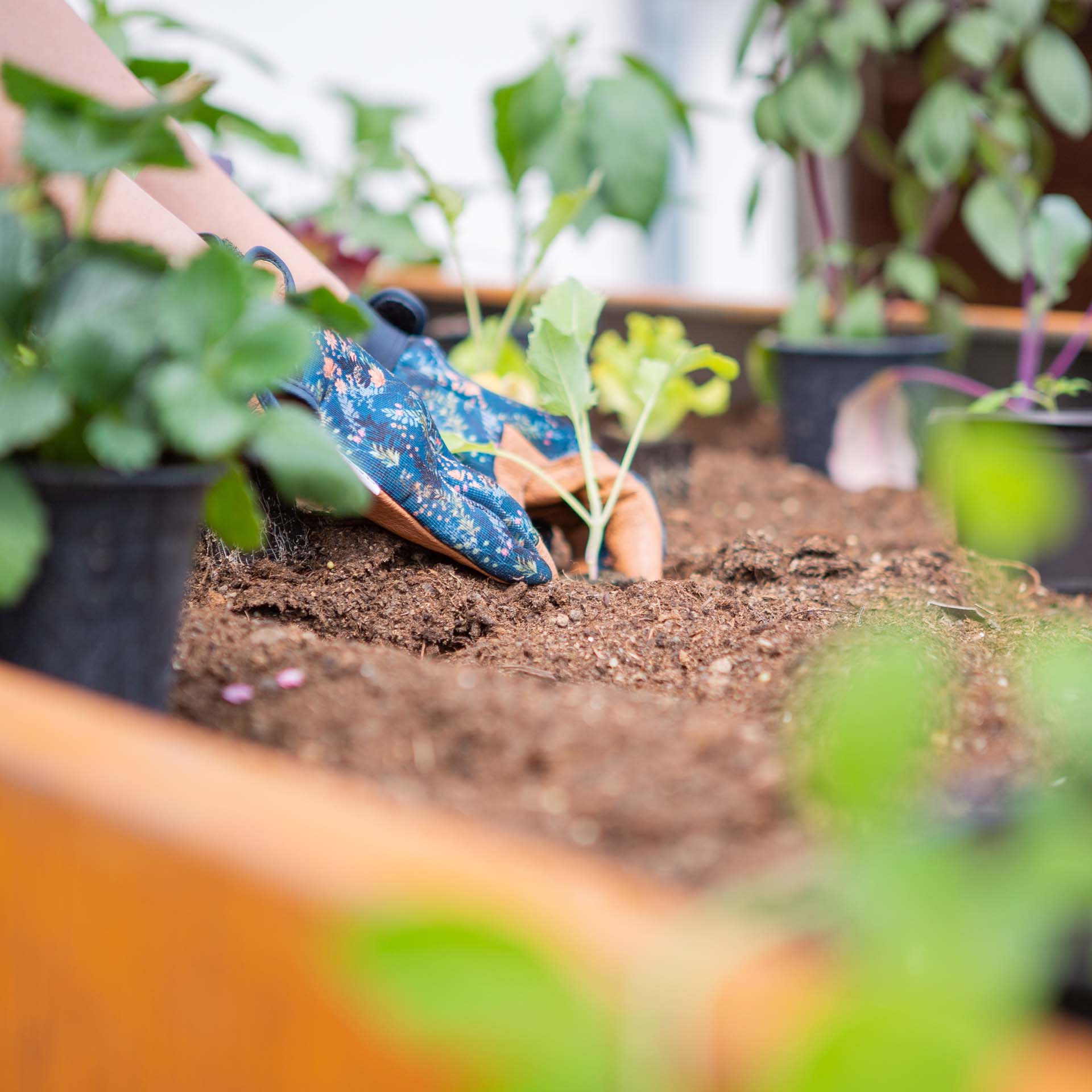 Prima Terra Edelrost Hochbeet Optimus Prima Terra Edelrost Hochbeet Optimus