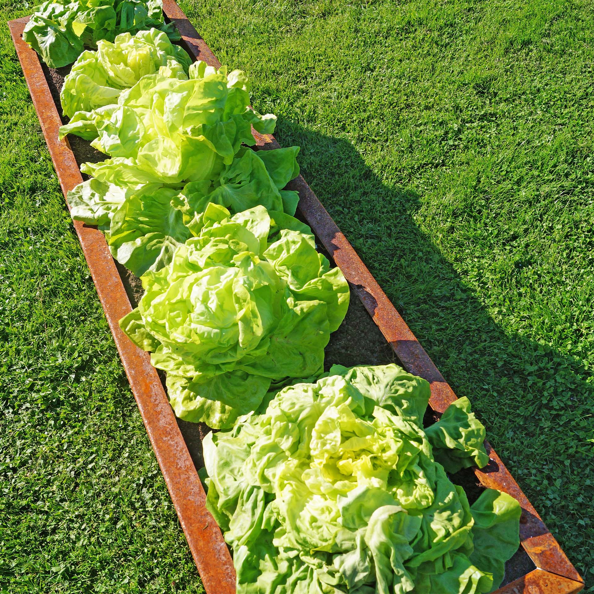 Prima Terra Edelrost Hochbeet Planus Prima Terra Edelrost Hochbeet Planus