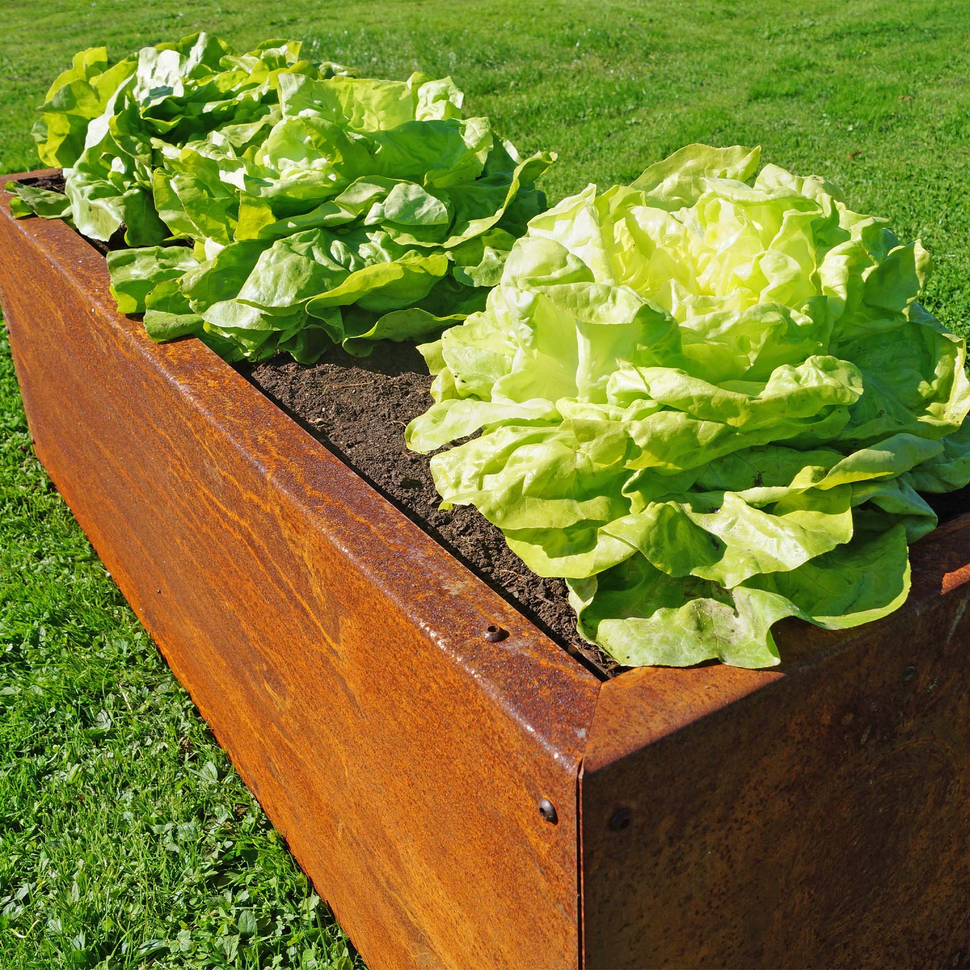 Prima Terra Edelrost Hochbeet Planus Prima Terra Edelrost Hochbeet Planus