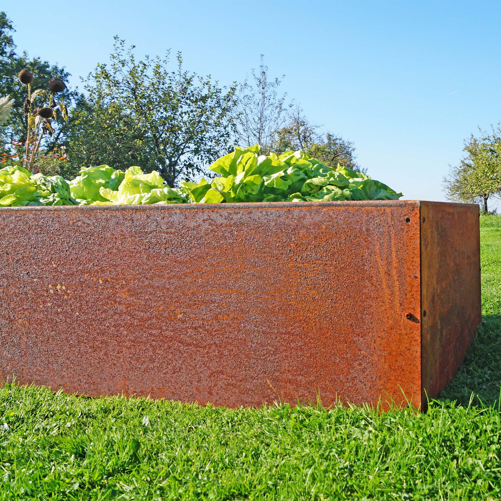 Prima Terra Edelrost Hochbeet Planus Prima Terra Edelrost Hochbeet Planus