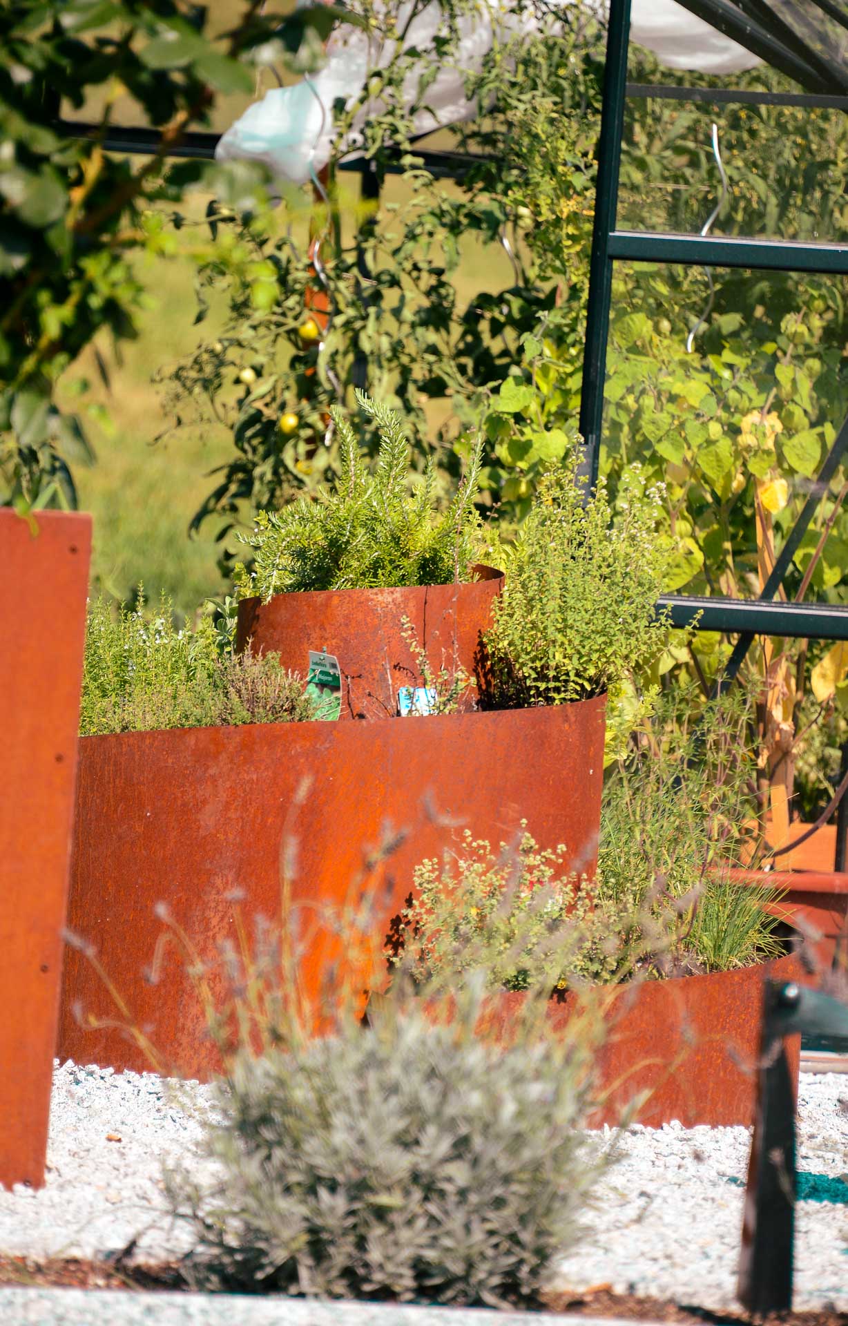 Kräuterschnecken Kräuterschnecken