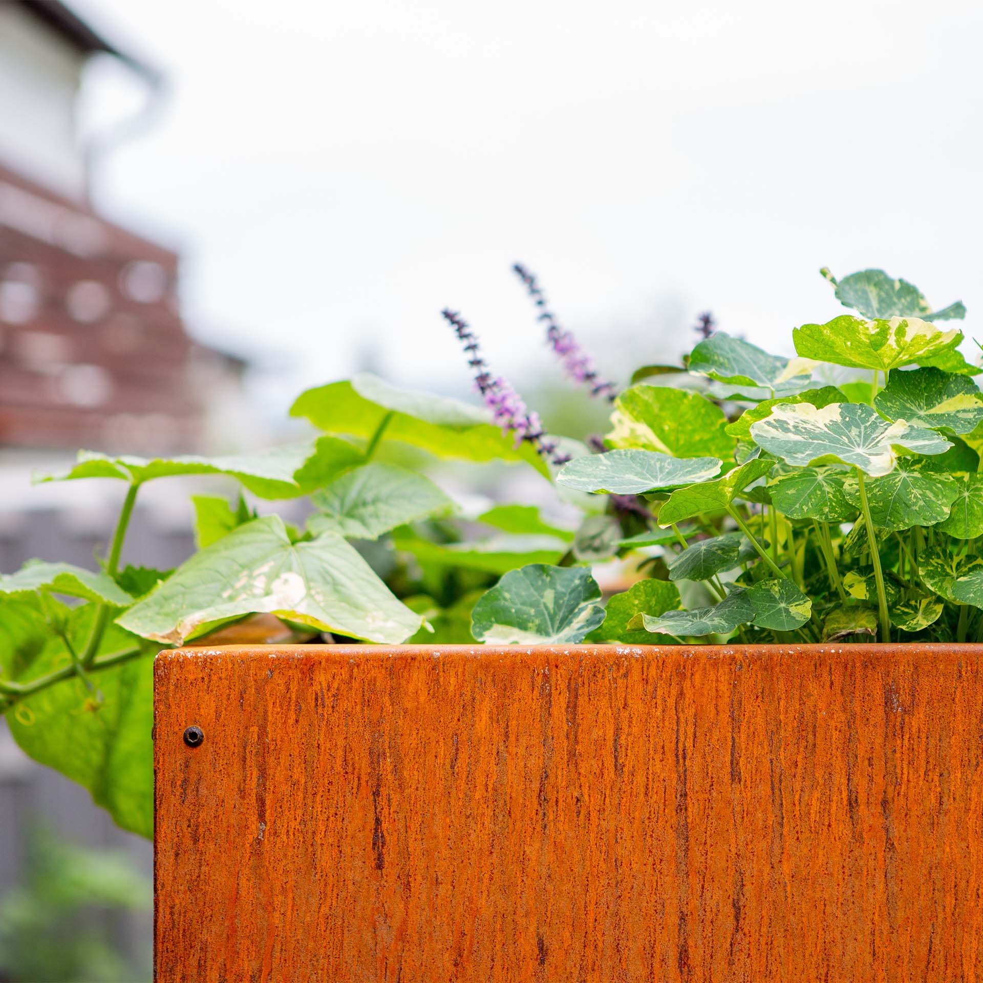 Prima Terra Edelrost Hochbeet Optimus Prima Terra Edelrost Hochbeet Optimus