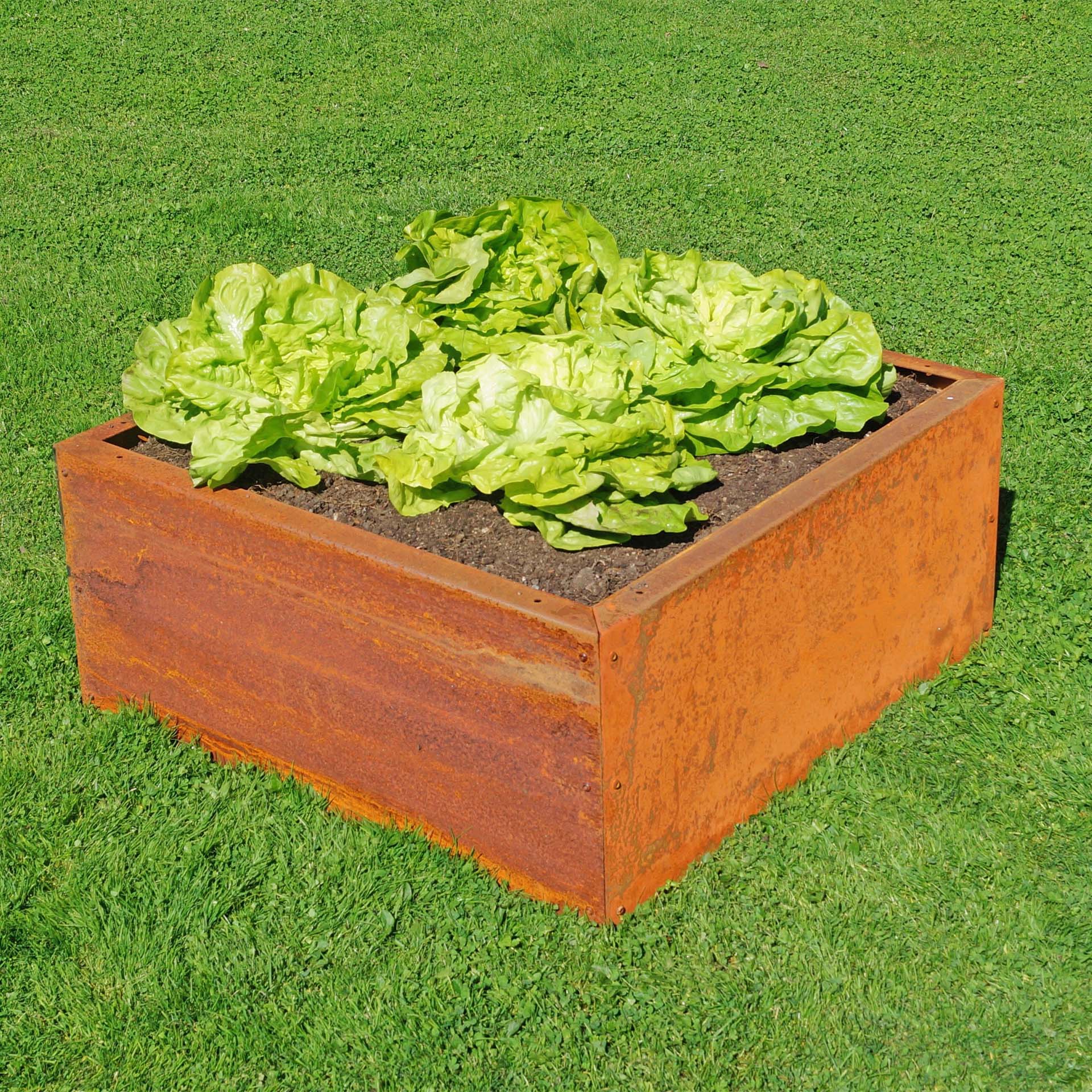 Prima Terra Edelrost Hochbeet Planus Prima Terra Edelrost Hochbeet Planus